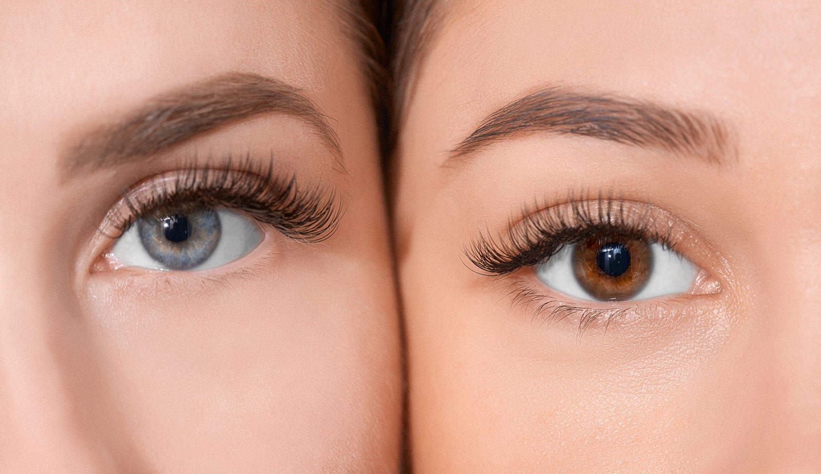 Powder Brows: sanft schattierte Augenbrauen.